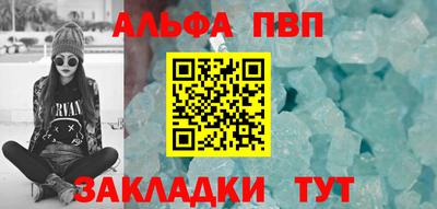 a pvp Новозыбков