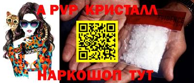 a pvp Новозыбков