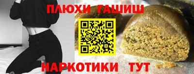 a pvp Новозыбков