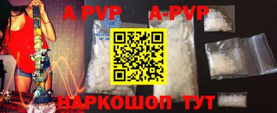 a pvp Новозыбков