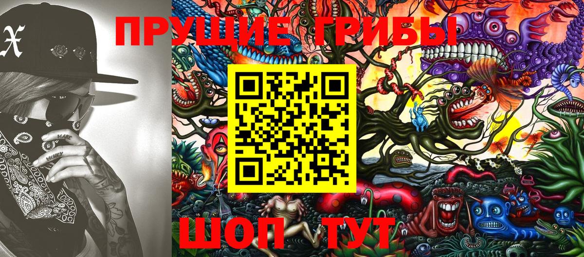 Галлюциногенные грибы Psilocybe Усолье-Сибирское
