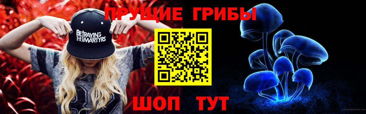 Псилоцибиновые грибы GOLDEN TEACHER  Вход с VPN  Усолье-Сибирское 